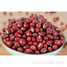 Frijoles rojos pequeños secos